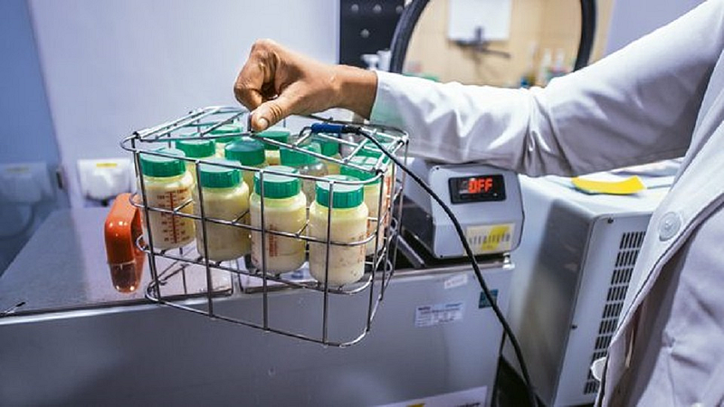 brest milk bank