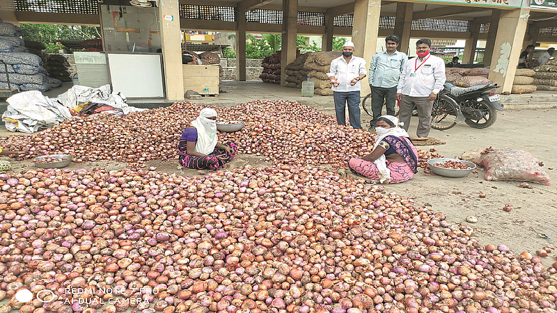 chakan onion