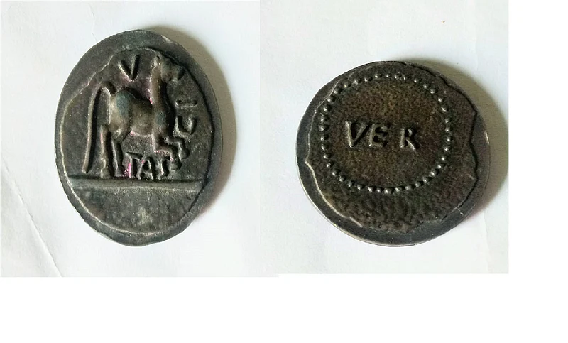 Rare coin found in mool of Chandrapur