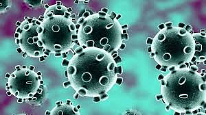Second COVID-19 patient of Manipur found negative