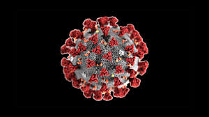 Corona hits small group; Five thousand infected in the age group of zero to 30