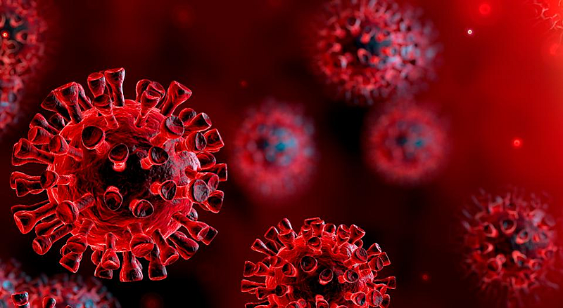 corona virus