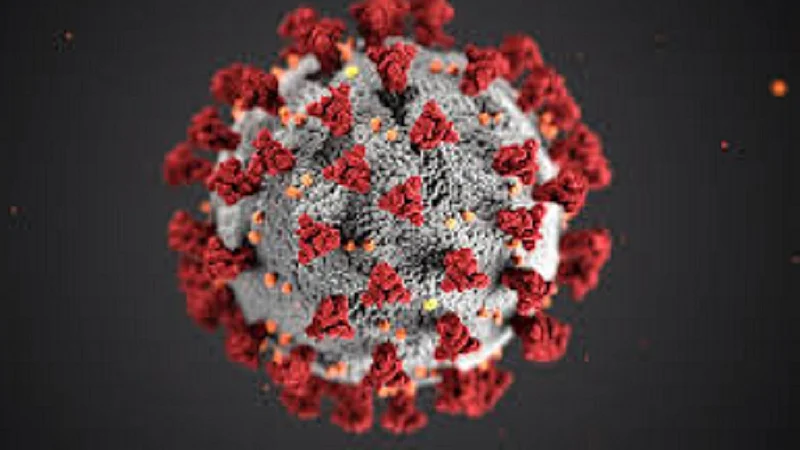 Report of negative Corona infected patient in Sindhudurg kokan marathi news