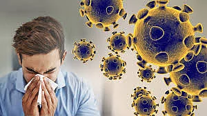 corona virus effect in sindhudurg