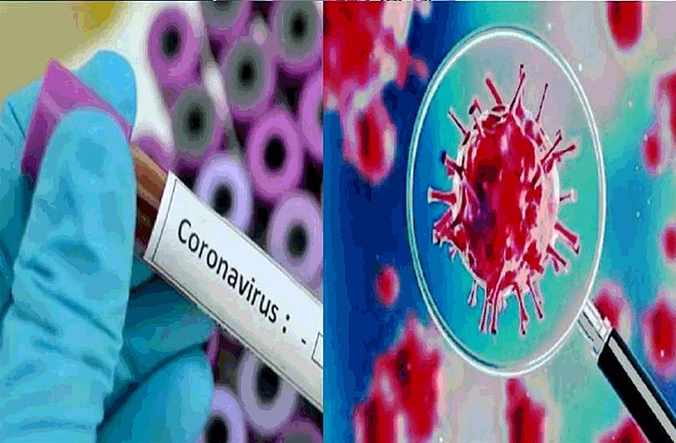 37 positive patients in four days at ratnagiri