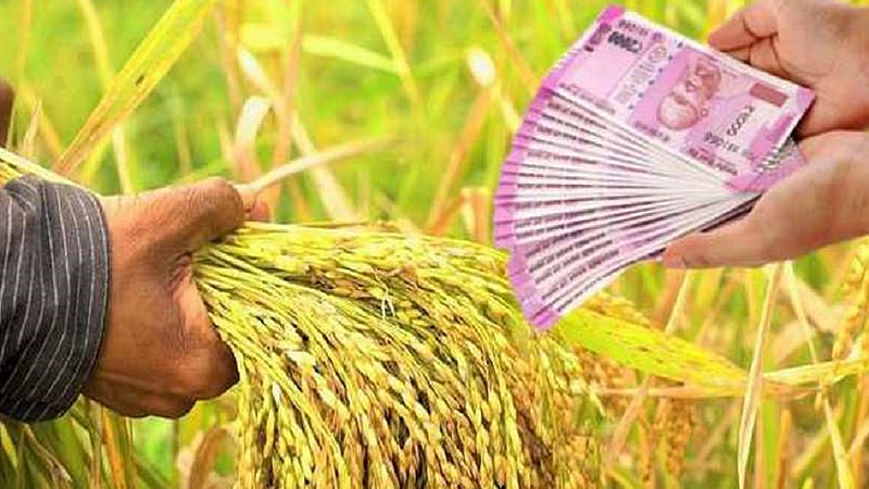 crop loan.jpg