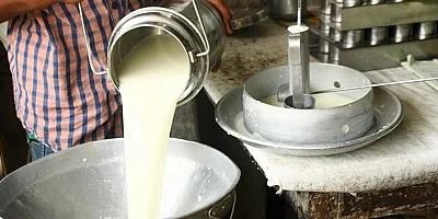 Mandatory to deposit milk bil in producer'sl account; then Cow's milk rate will be Rs. 25