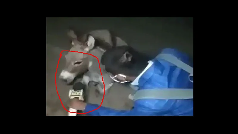 bihar journalist raises awareness about masks and compare with donkey video viral