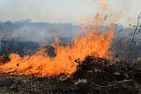 farm bajri fire