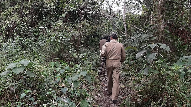 forest department did not give payment to labors.