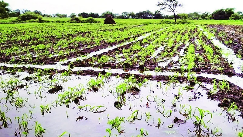 farm rain.jpg