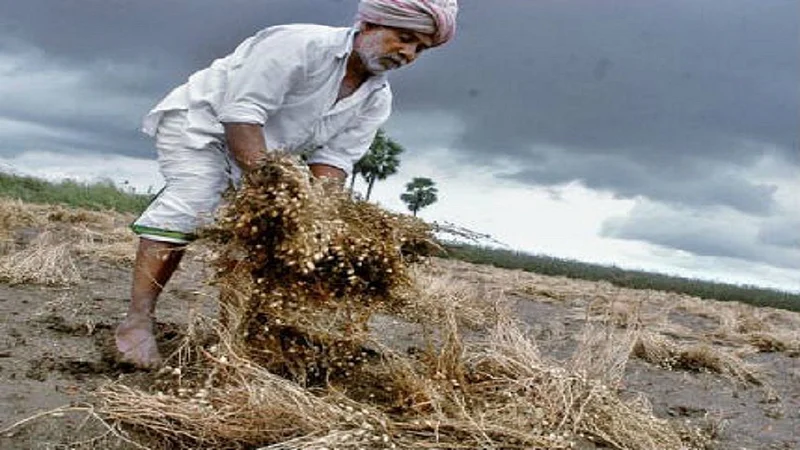 returning monsoon is dangerous for crops of farmers