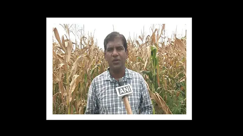 software engineer left his it job and doing farming in his village at karnataka