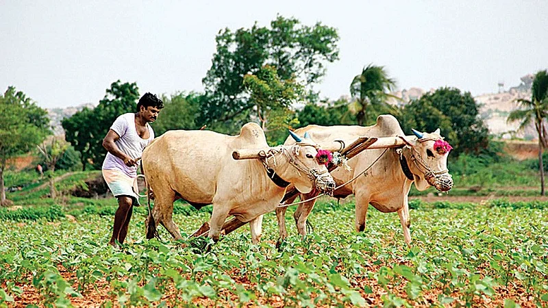 farmers-.jpg