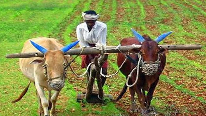 Allegations of farmer leaders Opposition to the Agriculture Bill