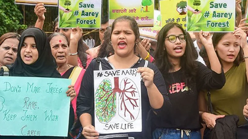 Aarey forest