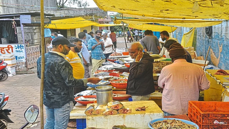 Arrival Of New Fish From The Sea At Gadhinglaj Market Kolhapur Marathi News