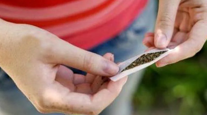 ganja