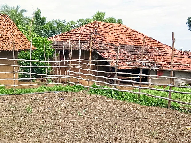 Corona influence in Gadchiroli district is less due to tribal culture