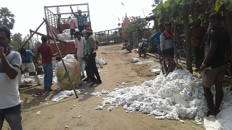 No ginning mill in Gadchiroli