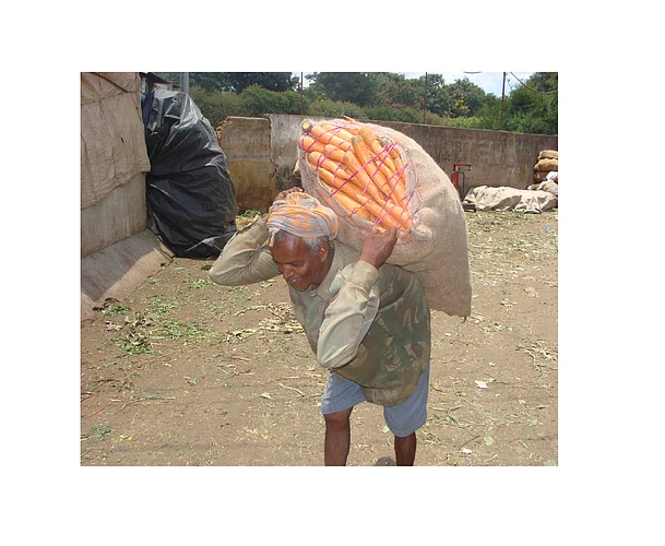 Agricultural Commodities Are Coming In, But There Is A Shortage Of Skilled Workers Kolhapur Marathi News