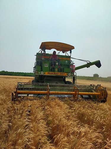 harvestor