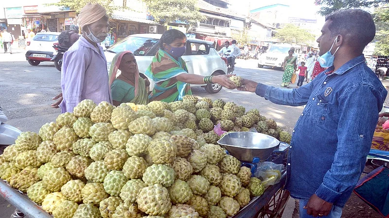 Arrival Of Golden Custard Apple At Gadhinglaj Kolhapur Marathi News