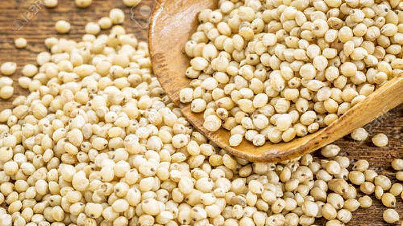 भाकरी महागली! सर्वसामान्यांनी जगायचे तरी कसं?