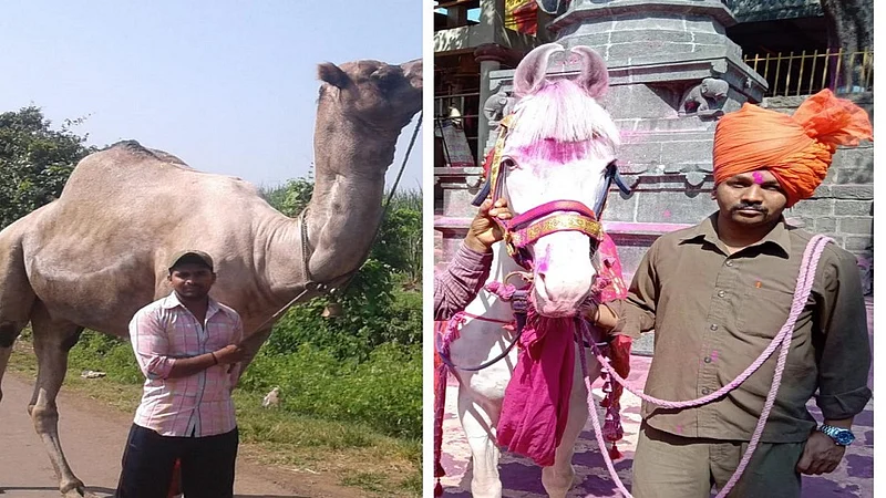 Shri Jyotiba temple kolhapur festival story by niwas mote