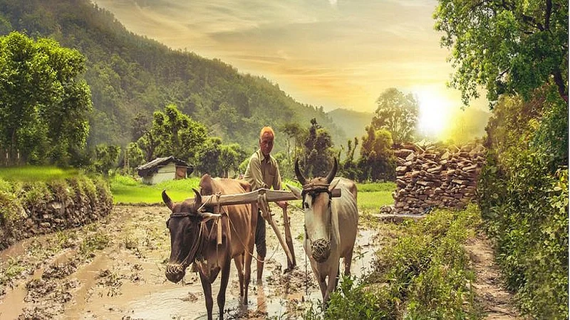 Akola locks down farmers for kharif season, Laborers returning from the city to cultivate agriculture .. Still wage rates skyrocket ..!