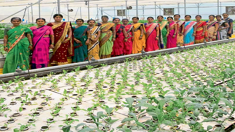 kolhapur Hatkanangale is the first floating farm in the country