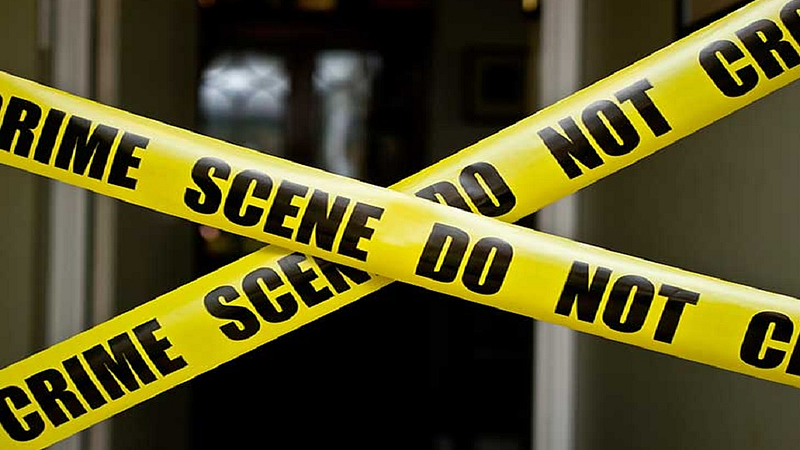 crime news