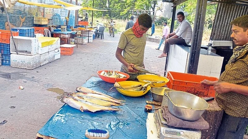 Fish Arrivals Fell By 40 Percent Kolhapur Marathi News