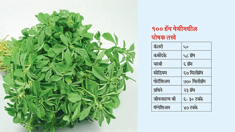 आरोग्यदायी,औषधी पालेभाजी : मेथी