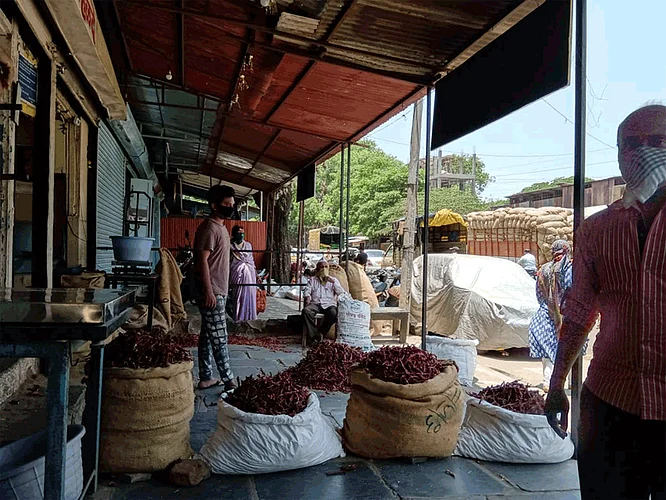 crowd of Chili purchasing in kolhapur market
