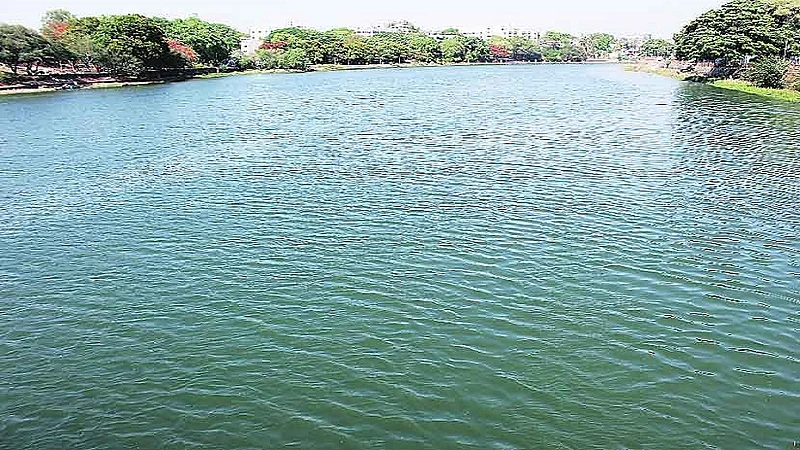 nadi patra.jpg