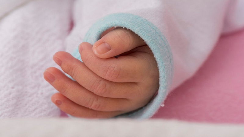 Couple lost their new born baby in Bhandara Fire Case Latest News