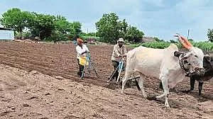 sowing