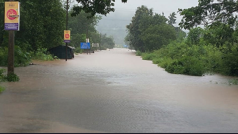 rain.jpg