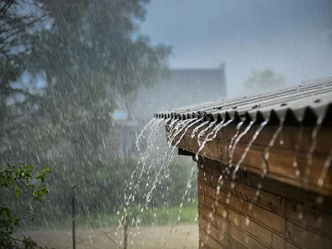 rainr
