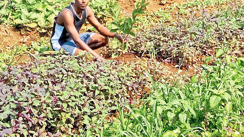 Unemployment Graduate Suhas Success In Business Kokan Marathi News
