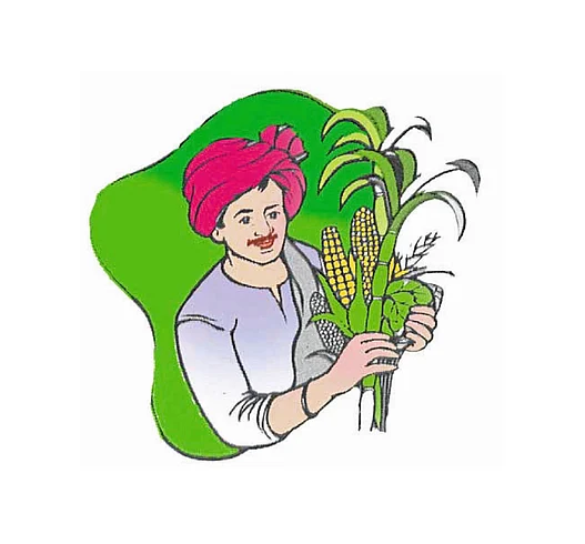 Farmers Worry About Server Down Kolhapur Marathi News