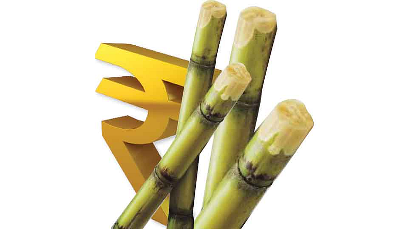 Uncertainty Over Sugarcane Council Kolhapur Marathi News