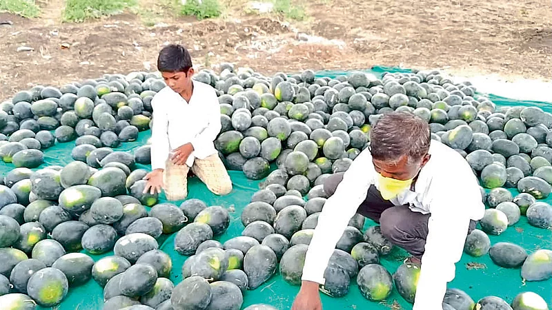 hingoli photo