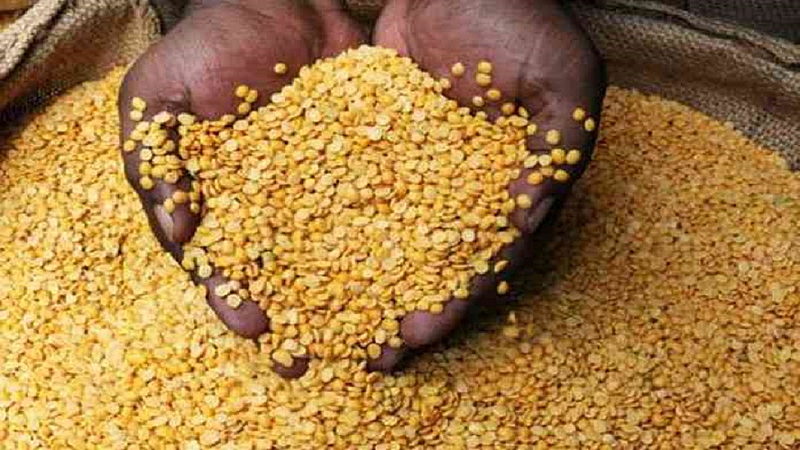 buying of red gram starting from Wednesday