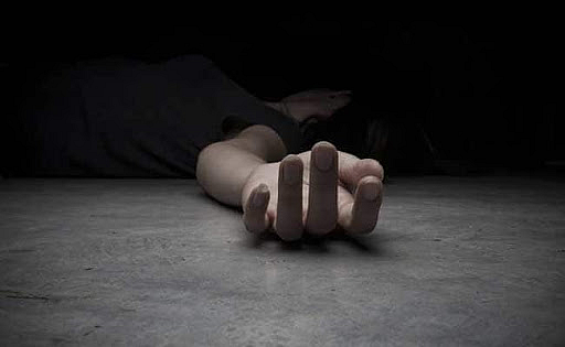 मीना जांभूळकर