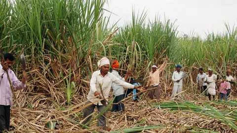 A settlement will be reached on Tuesday on the strike of sugarcane workers