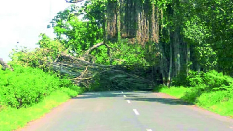 vadgaon.jpg