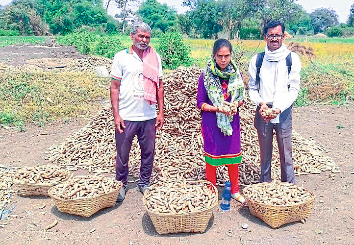 Vaigaon Turmeric is getting more prices