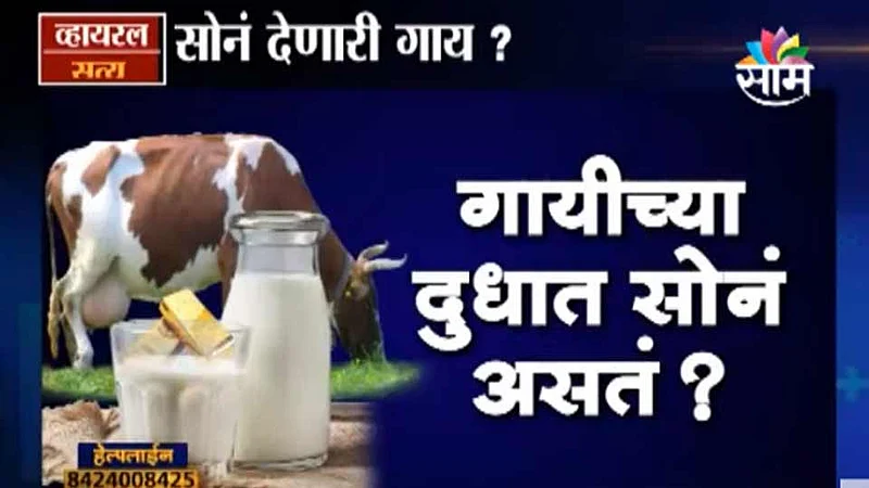 viral-satya-video-cow-milk